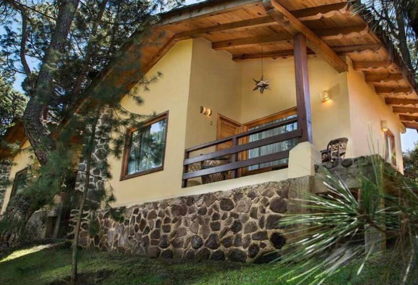 سوییت, Bosque Escondido