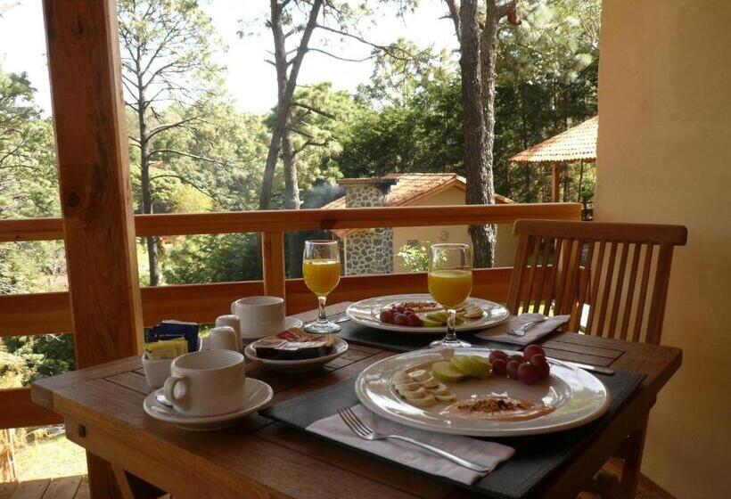 سوییت, Bosque Escondido