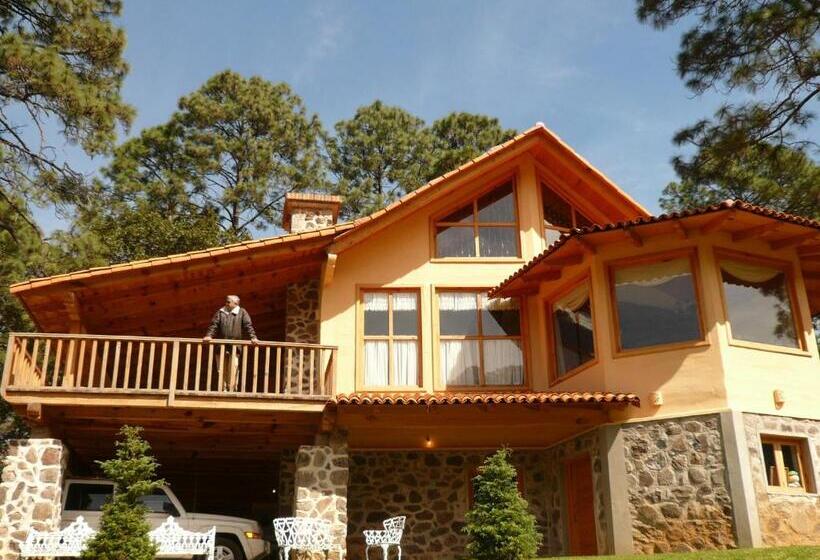 سوئیت کلاب, Bosque Escondido