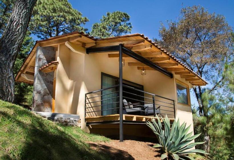 سوییت سوپریور, Bosque Escondido