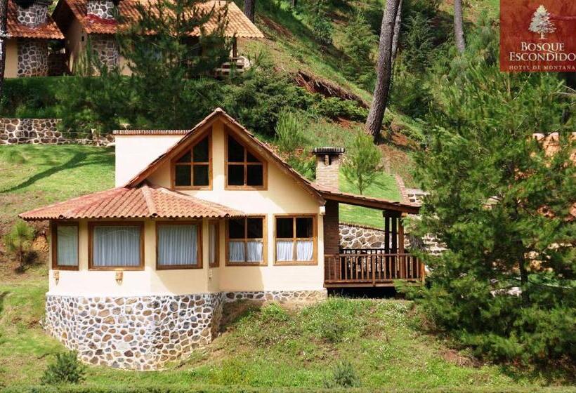 اتاق سوپریور خانوادگی, Bosque Escondido
