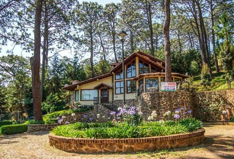 اتاق لوکس خانوادگی, Bosque Escondido