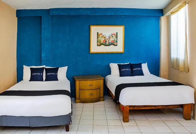 スーペリアールーム, Capital O Hotel Dos Mares, Cabo San Lucas