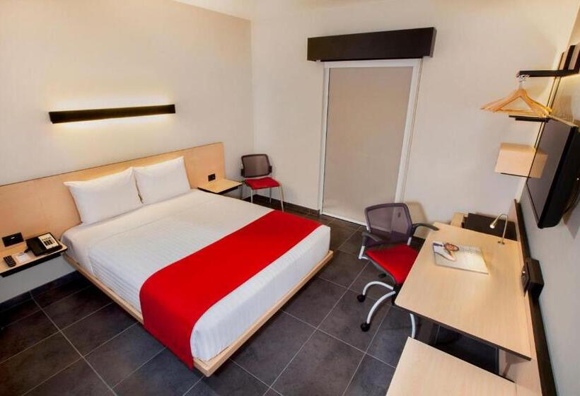 スタンダードルーム, City Express Plus By Marriott Cabo San Lucas