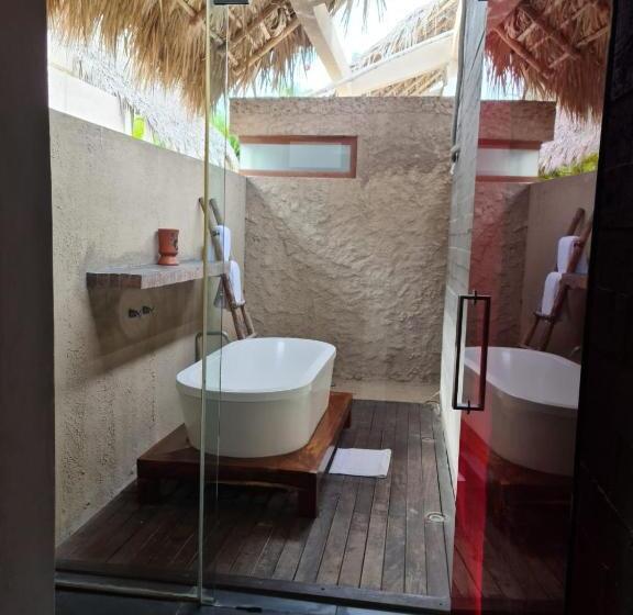 Quarto Estandar, Isla Tajín
