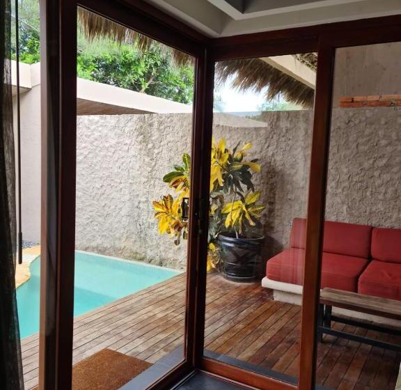 Quarto Estandar, Isla Tajín