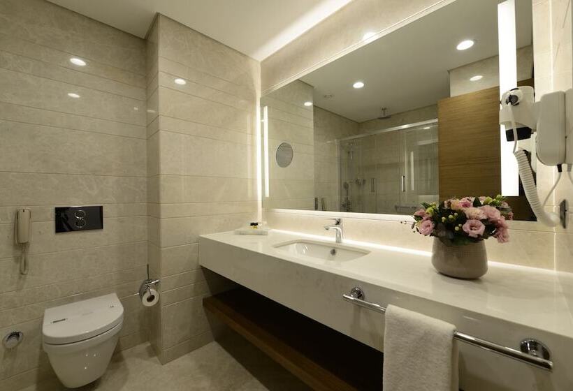 اتاق استاندارد با چشم‌انداز شهر, Holiday Inn Bursa   City Centre, An Ihg