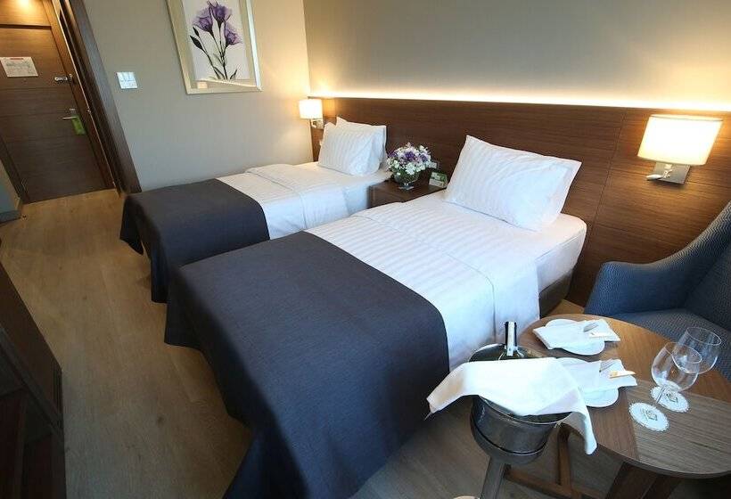 Standard Room Double Bed City View, Holiday Inn Bursa   City Centre, An Ihg
