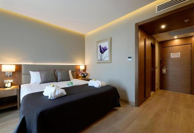 اتاق استاندارد با تراس, Holiday Inn Bursa   City Centre, An Ihg