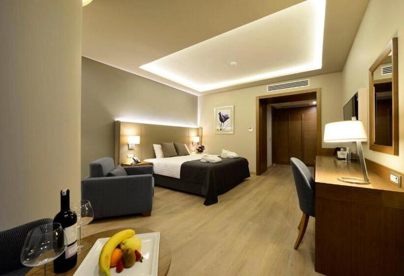 اتاق استاندارد با تخت بزرگ, Holiday Inn Bursa   City Centre, An Ihg