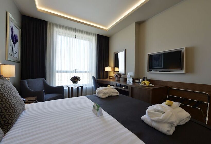 Standard Room Double Bed City View, Holiday Inn Bursa   City Centre, An Ihg