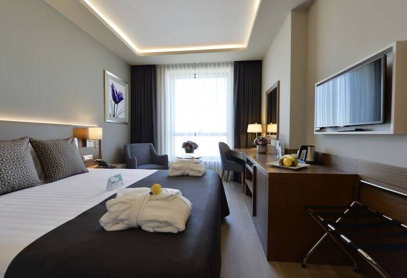 اتاق استاندارد با تخت دوبل, Holiday Inn Bursa   City Centre, An Ihg