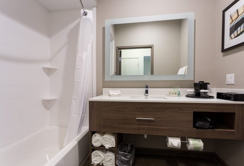 스탠다드 룸 더블 침대 2개, Holiday Inn San Marcos Convention Center, An Ihg