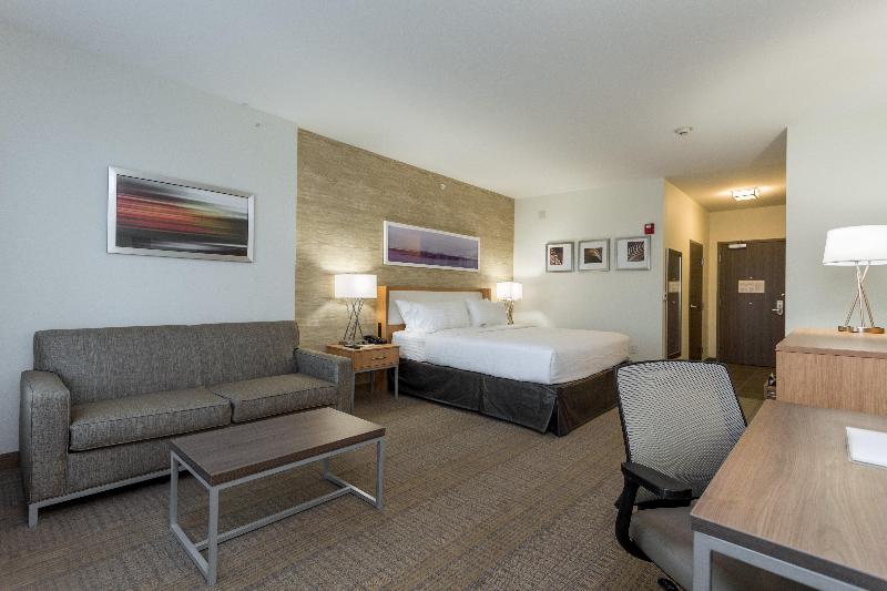 스탠다드 룸 킹사이즈 침대, Holiday Inn San Marcos Convention Center, An Ihg