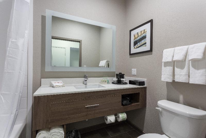 장애인을 위한 스탠다드 룸, Holiday Inn San Marcos Convention Center, An Ihg