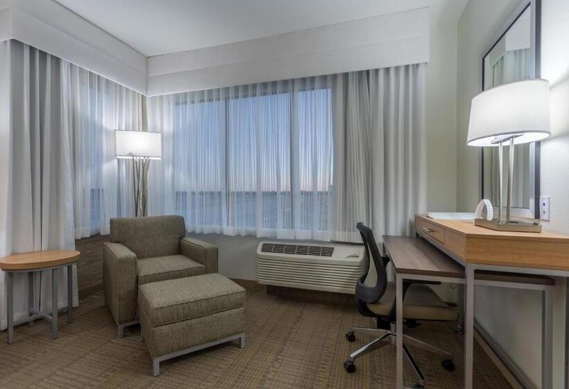 스탠다드 룸 킹사이즈 침대, Holiday Inn San Marcos Convention Center, An Ihg