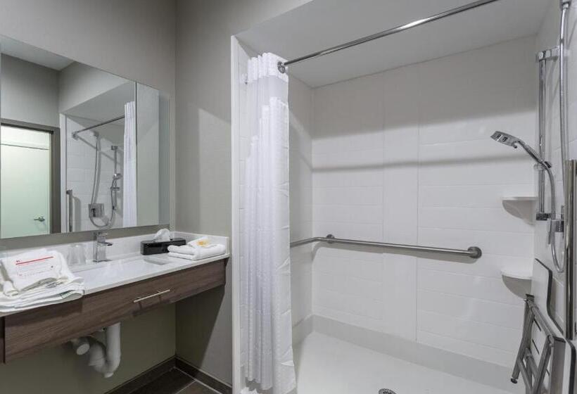 스탠다드 룸, Holiday Inn San Marcos Convention Center, An Ihg
