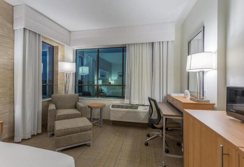 스탠다드 룸 킹사이즈 침대, Holiday Inn San Marcos Convention Center, An Ihg