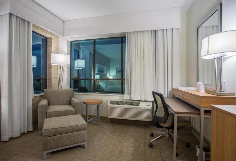 스탠다드 룸 킹사이즈 침대, Holiday Inn San Marcos Convention Center, An Ihg
