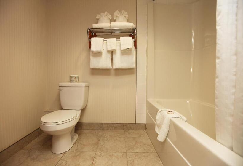 Номер Стандарт, St. Albert Inn & Suites