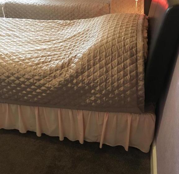 标准三人间, Adelphi Guest House