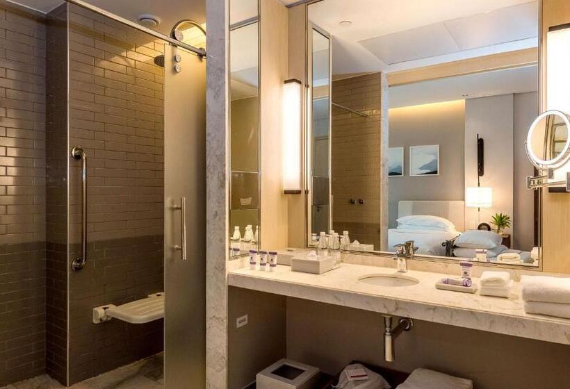 اتاق استاندارد برای معلولان, Grand Hyatt Rio De Janeiro