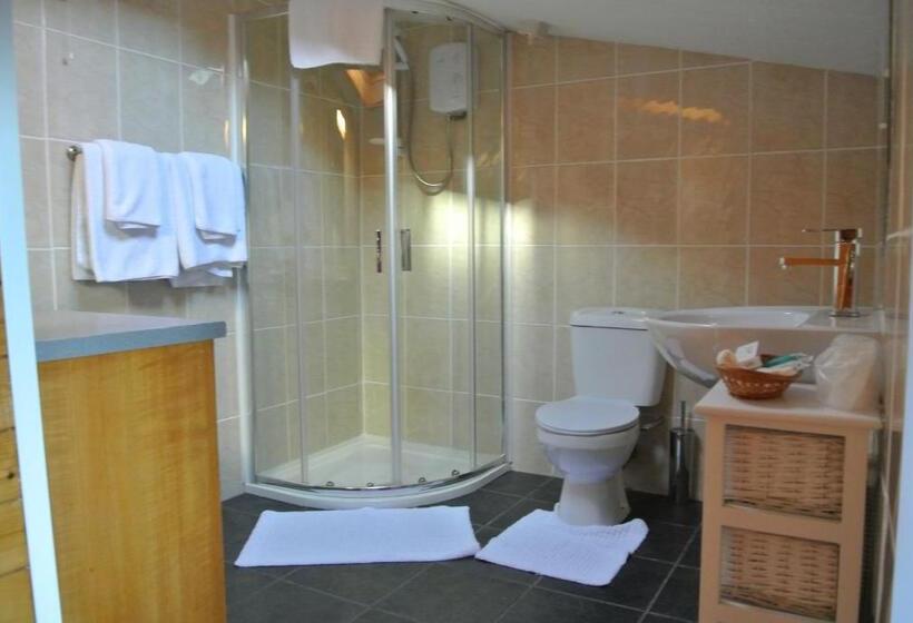 Номер Стандарт, Old Castle Farm Guest House