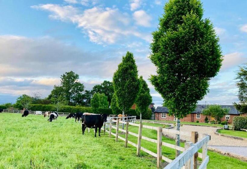 Семейный Номер, New Farm Cheshire B&b