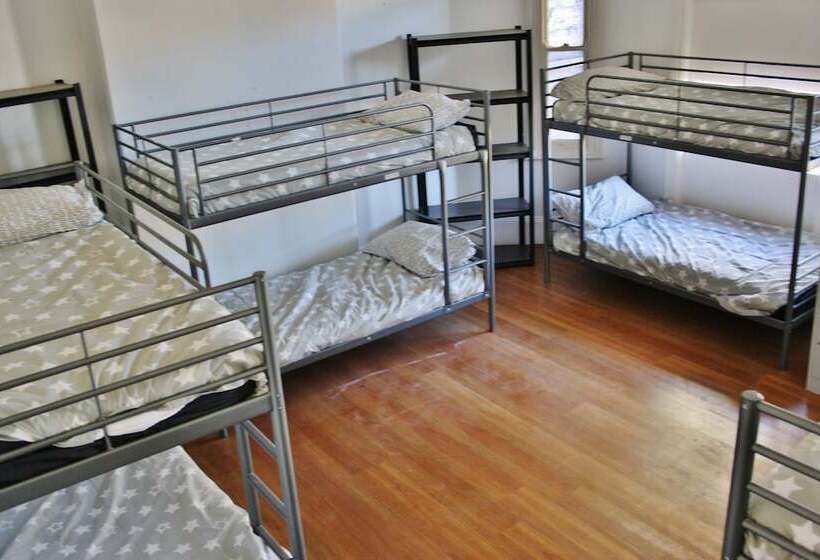 공동 객실, The Hive Hostel   Traveler Friendly, Passport Only