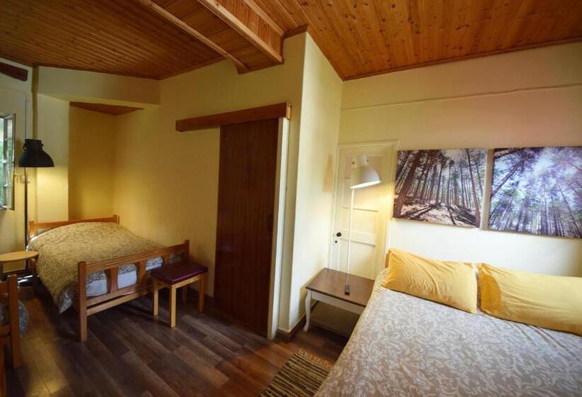 Четырехместный Номер Стандарт, Christys Palace