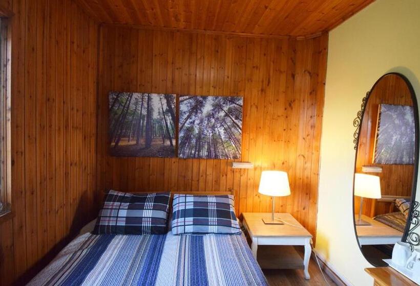 Dört Kişilik Standart Oda, Christys Palace