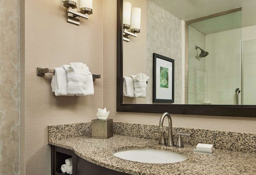 سوئیت با تخت بزرگ, Hilton Garden Inn Nashville Downtown/convention Center
