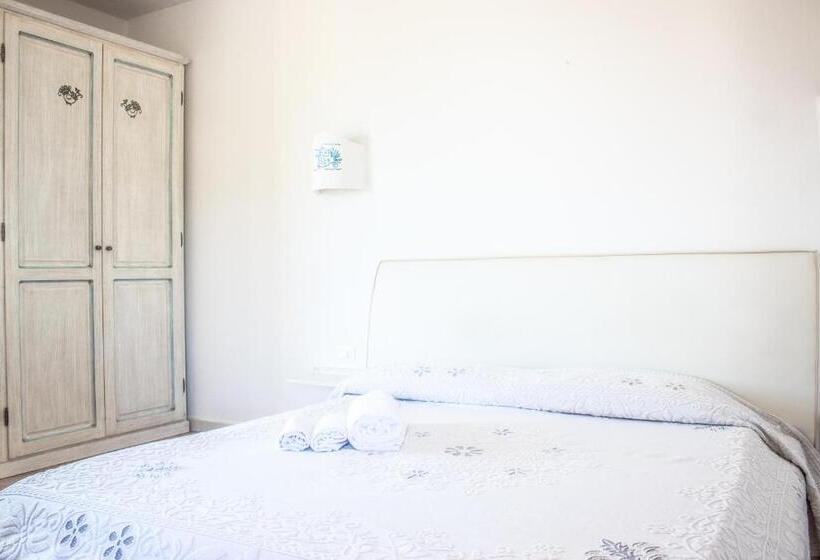 اتاق استاندارد, Olbia City