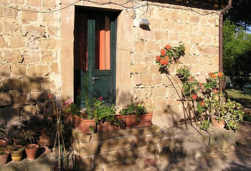 استودیوی استاندارد, Casa Migliaca