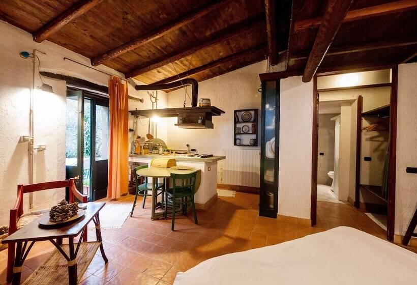 استودیوی استاندارد, Casa Migliaca