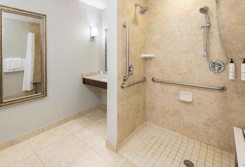 Студия Стандарт, Towneplace Suites By Marriott Abilene Northeast