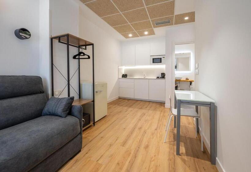 Семейное Студио, Elegant Rooms Lasarte