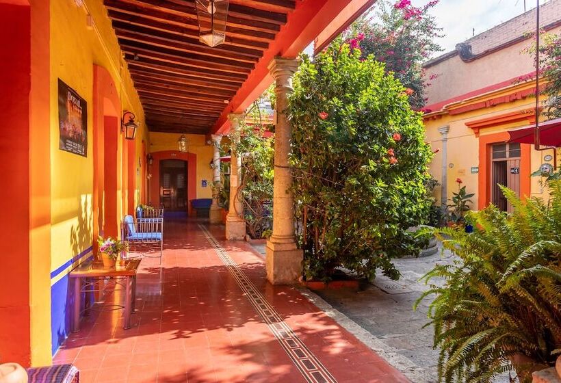 اتاق سوپریور چهار تخته, Posada Del Centro