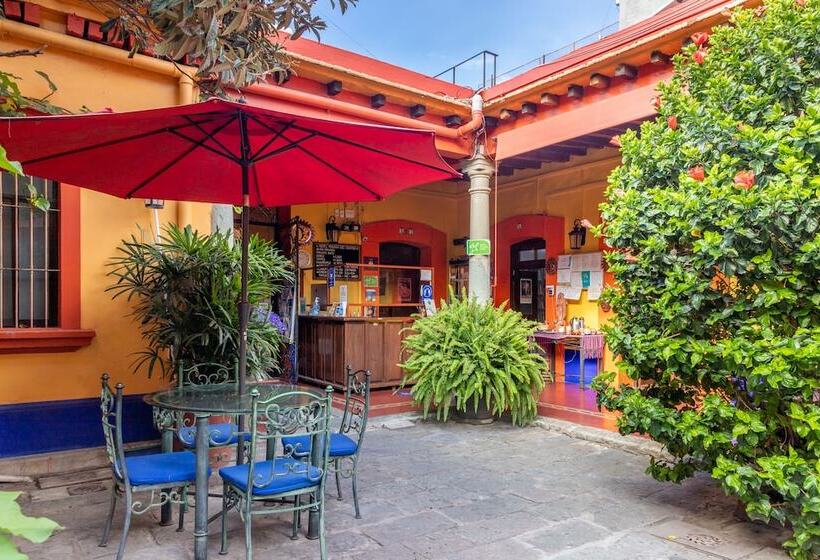 اتاق سوپریور چهار تخته, Posada Del Centro