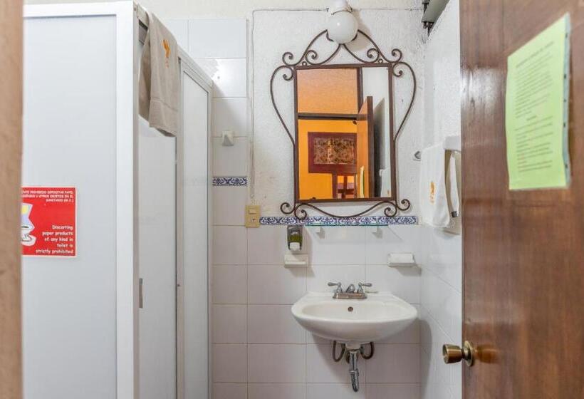 اتاق سوپریور چهار تخته, Posada Del Centro
