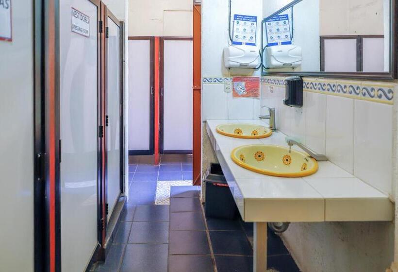 اتاق خانوادگی با سرویس بهداشتی مشترک, Posada Del Centro