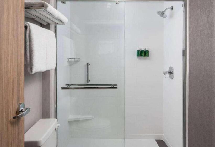 Номер Deluxe Кровать Кинг, Sonesta Bee Cave Austin Hill Country