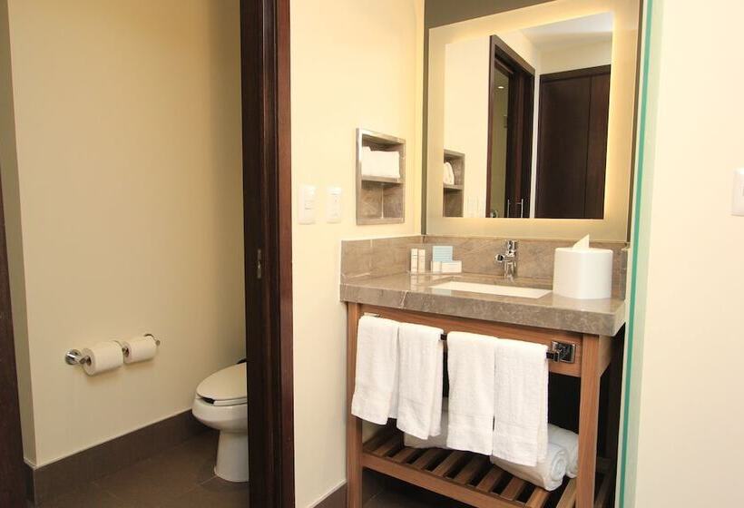 ２ダブルベッドのスタンダードルーム, Hampton Inn By Hilton Leon Guanajuato
