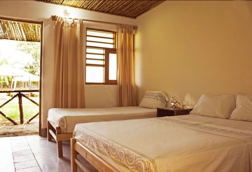 اتاق سوپریور, Ecolodge Huaca Piedra