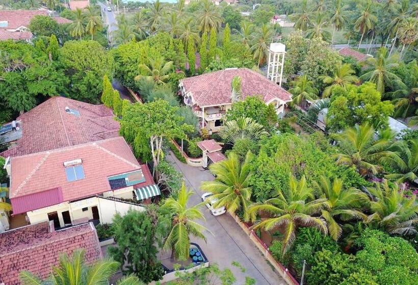 Quarto Basic, Rico Shadow Guest House