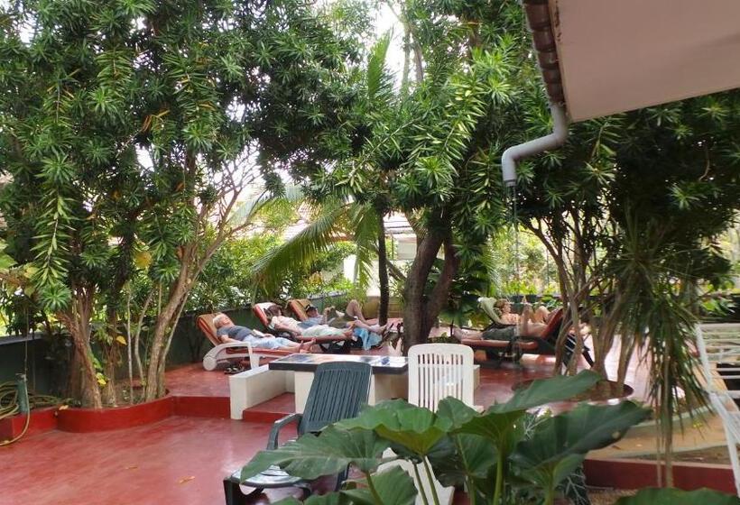 Quarto Basic, Rico Shadow Guest House