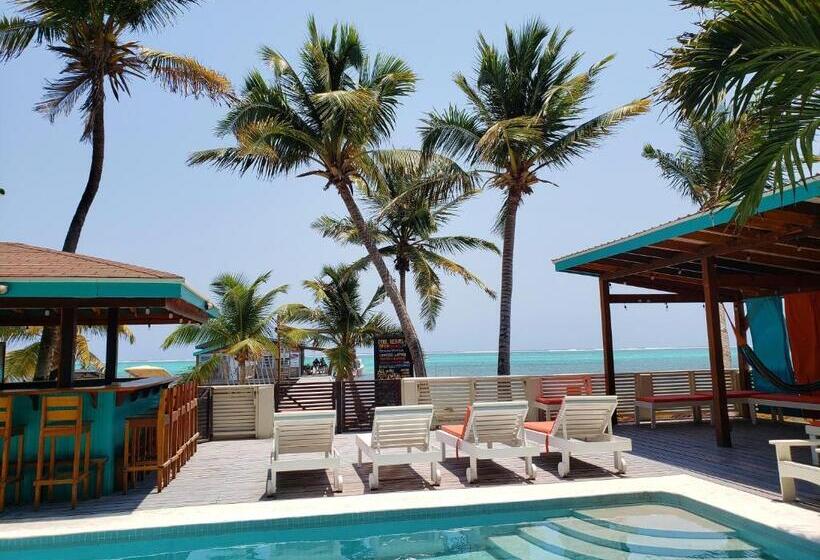 اتاق استاندارد با تخت بزرگ, Ocean Tide Beach Resort