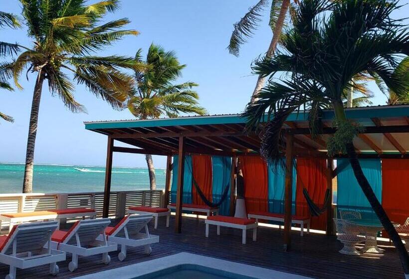 اتاق استاندارد, Ocean Tide Beach Resort