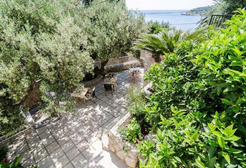 اتاق استاندارد با بالکن و چشم‌انداز دریا, Guest House Daniela