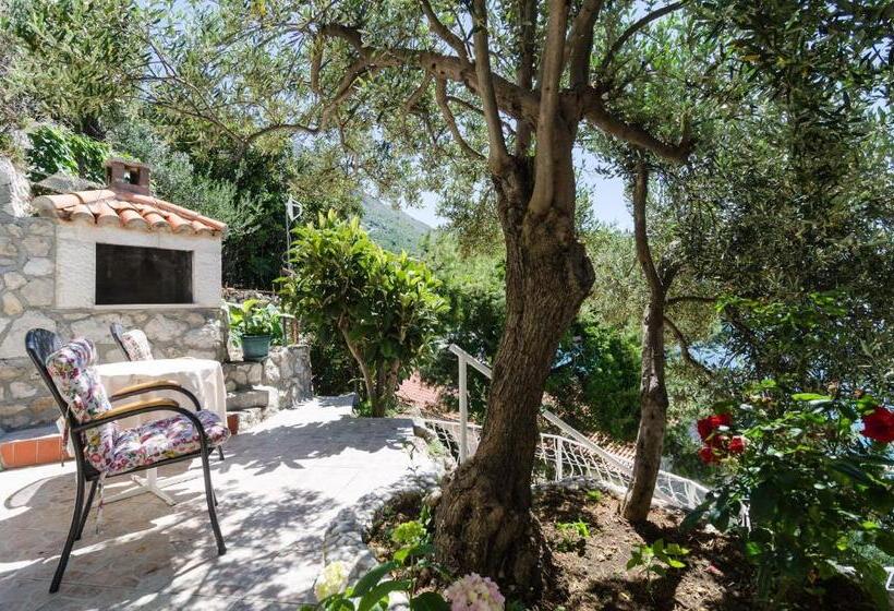 اتاق استاندارد, Guest House Daniela